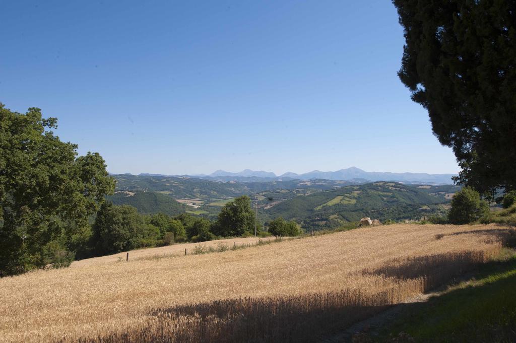 Agriturismo Tenuta Di Biscina Exterior foto