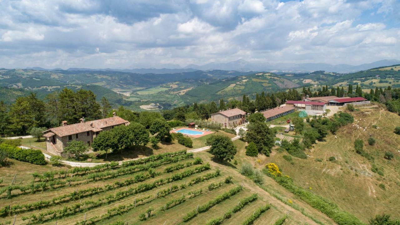Agriturismo Tenuta Di Biscina Exterior foto