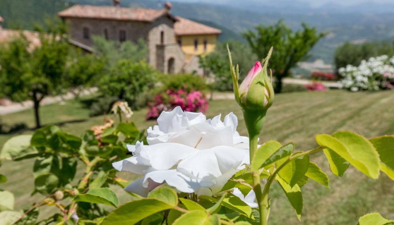 Agriturismo Tenuta Di Biscina Exterior foto